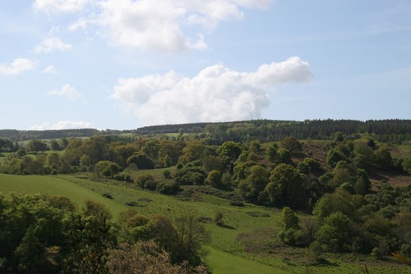 Somerset landscape
