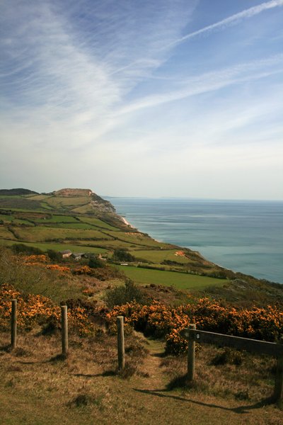Dorset Coast