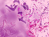 Abstractual 5