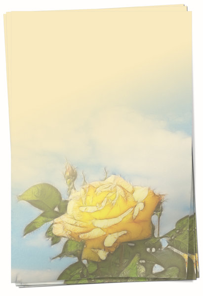 Yellow Rose Paper