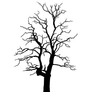 Free Vector Tree on Silhouette Tree 2  Two Tree Silhouettes Black On White  Hope You Ll