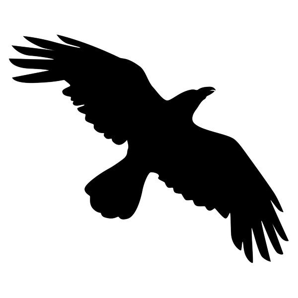 Silhouette Crow