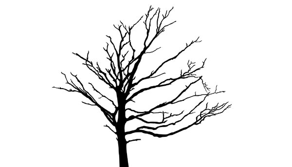 Silhouette Tree 3