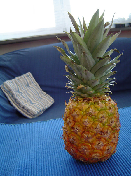 pineapple and couch