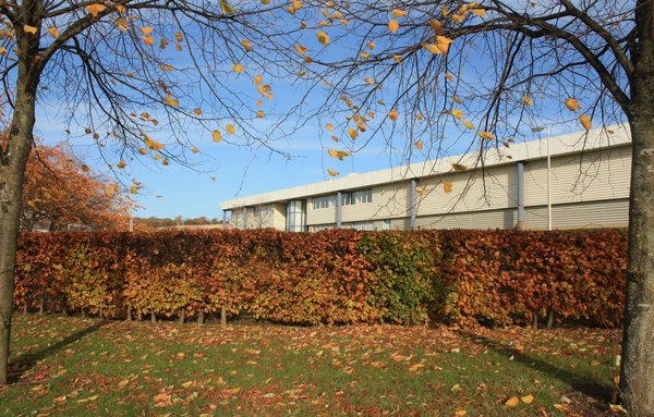 Autumn factory