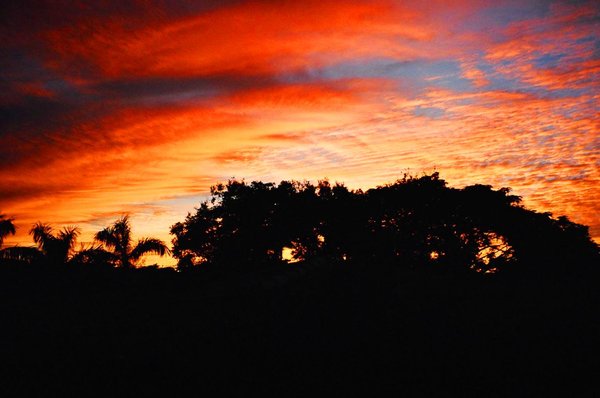 Sky Fire - Florida Sunset