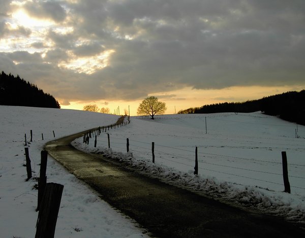 dawn in winter