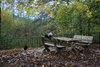 my place