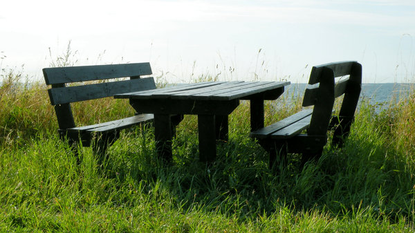 Bench set by the sea