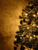 Árvore de Natal da Graham 14