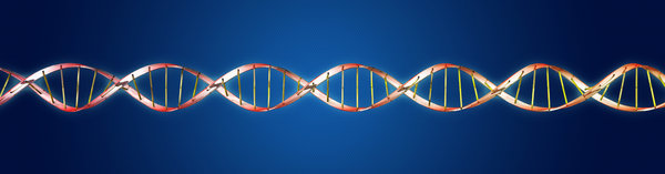 DNA molecule 2