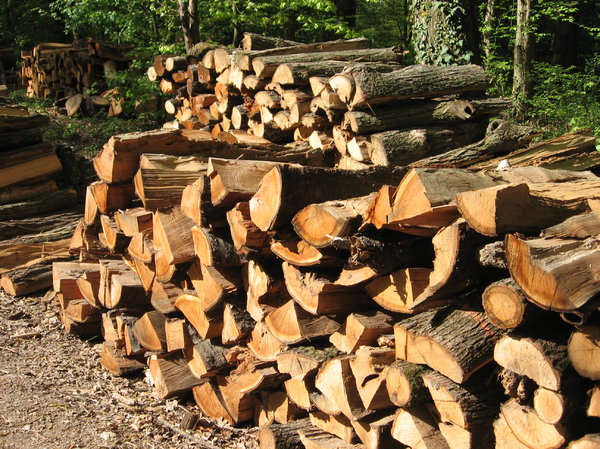 piled wood