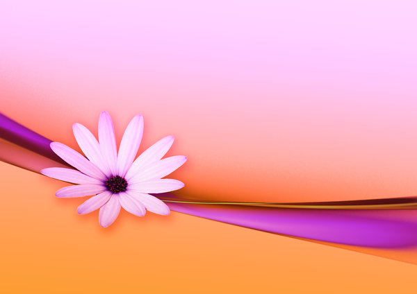 Flower and Ribbon abstract