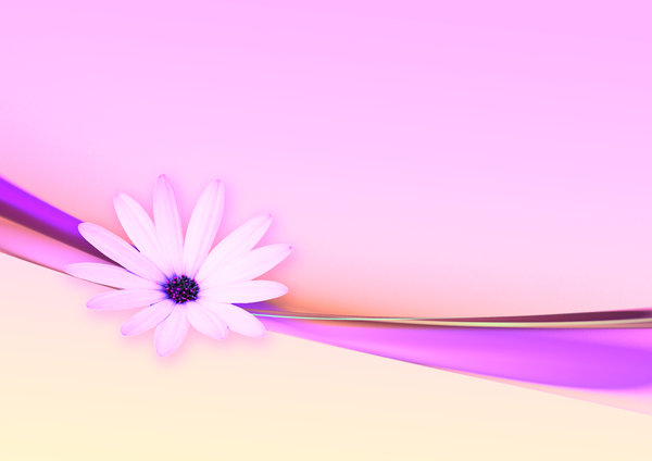Flower and Ribbon abstract