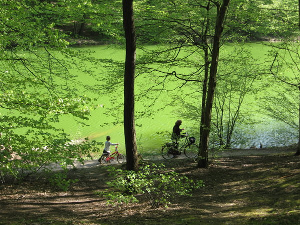 biking by the pond
