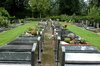 graveyard 6