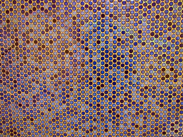 blue round tiles texture 2