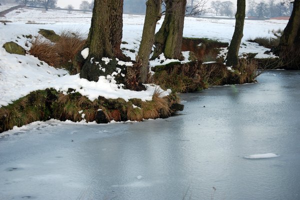 frozen river bank 1