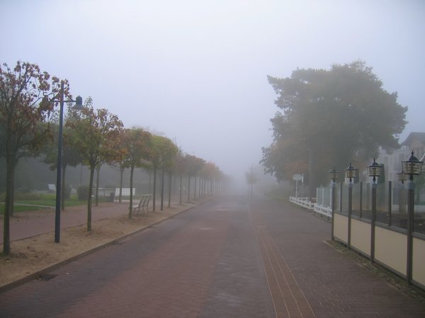 street in morning mist