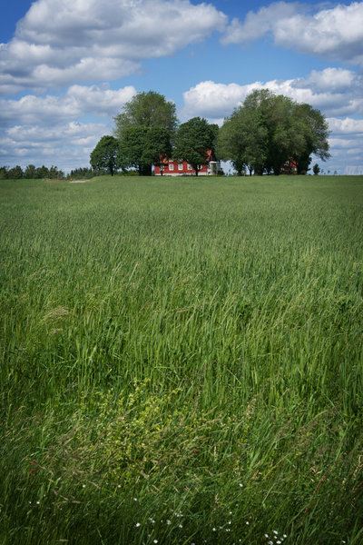 Farm in Sweden_1