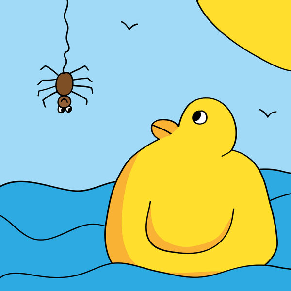 Spider and Duck