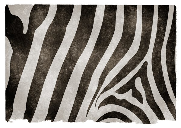 Zebra Stripes Grunge Paper