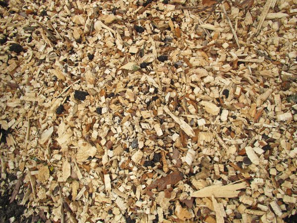 wood mulch texture