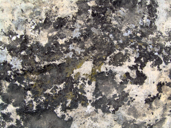 Stone Mold