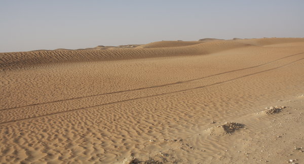 Tire Tracks through the Desert