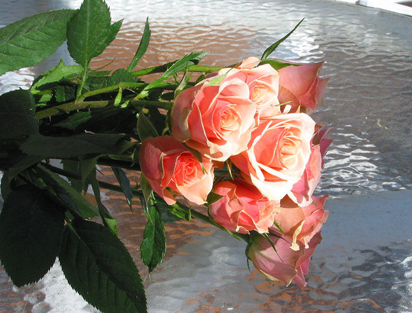 Pink roses on glass