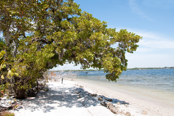 De Soto, Florida