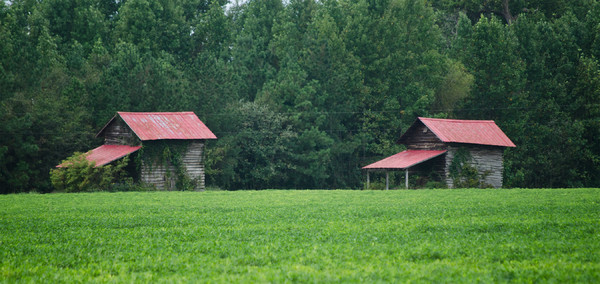 Rural Carolina Barns