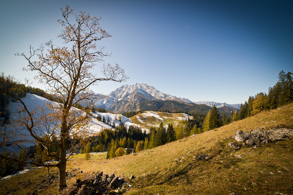 Watzmann View - German Alps
