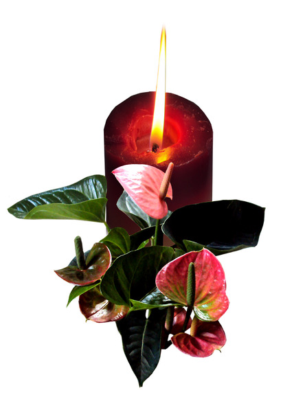 Red candle with foliage
