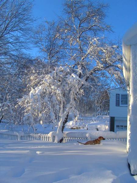 New England Winter Morning