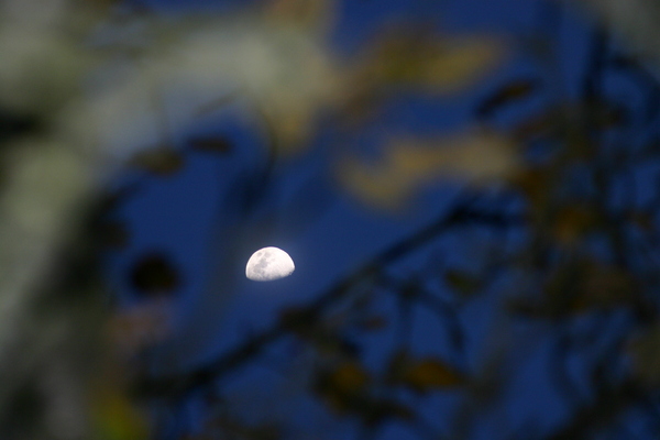 moon over austria