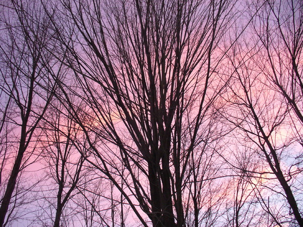 Late Afternoon November Sky