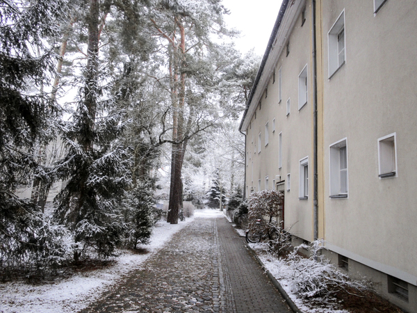berlin winter street scenery