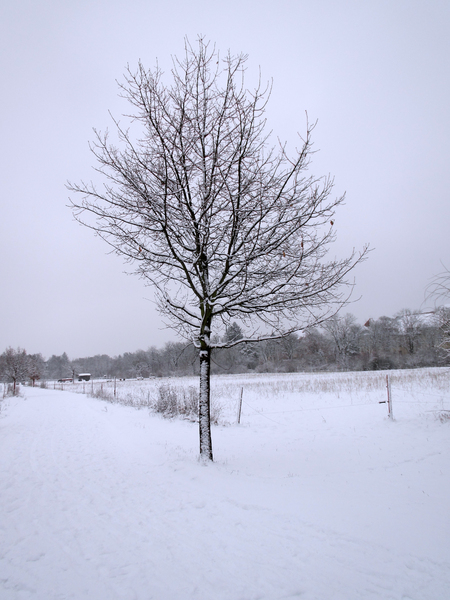 plain winter scenery