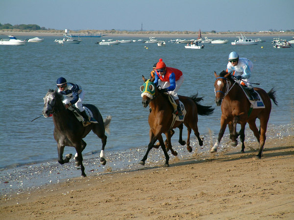 Horses racing in the beach