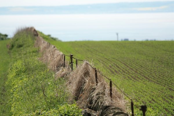Fence between fields