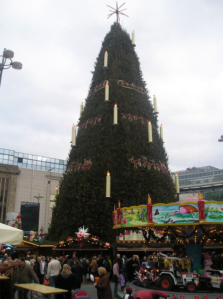 Biggest Christmas tree of the 