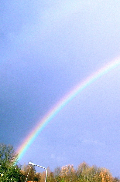 Rainbow 4