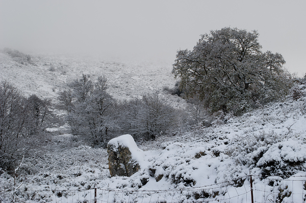 Snow in the mountains of Sardi