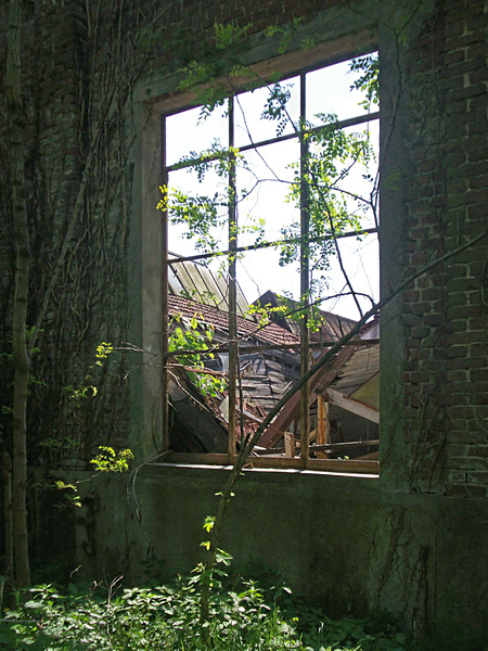 window with a view of ruined b