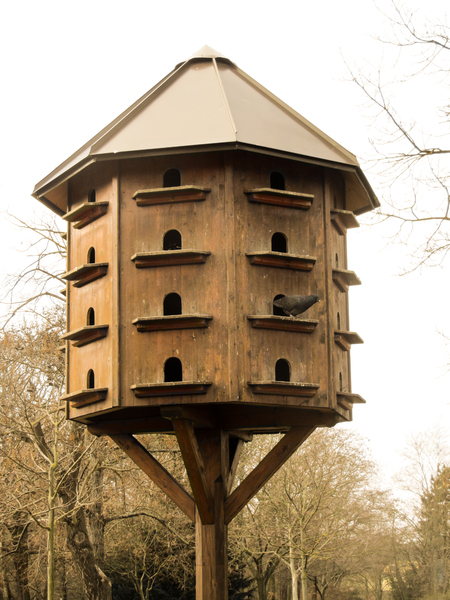 wooden dove house 2