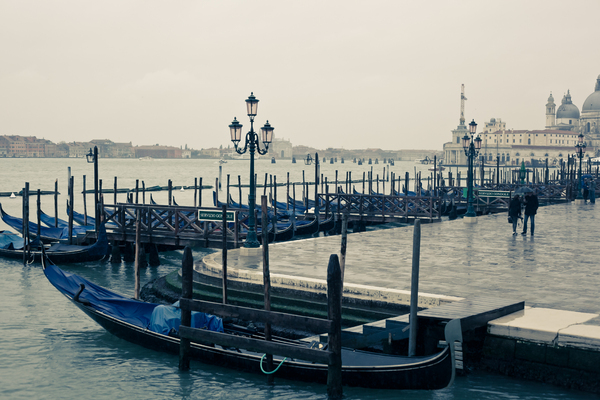 Gondolas In Venice 1