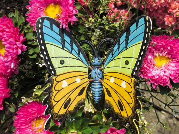 colourful butterfly figurine