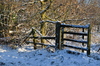 Winter gate