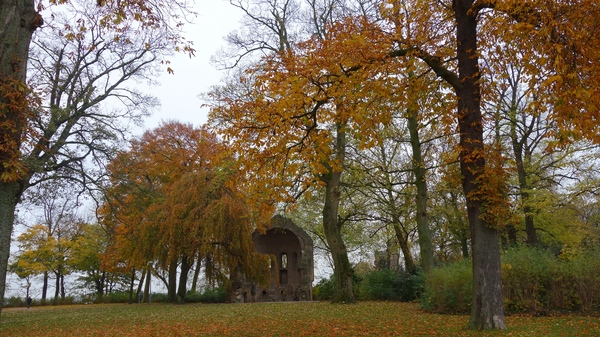 autumn in Nijmegen